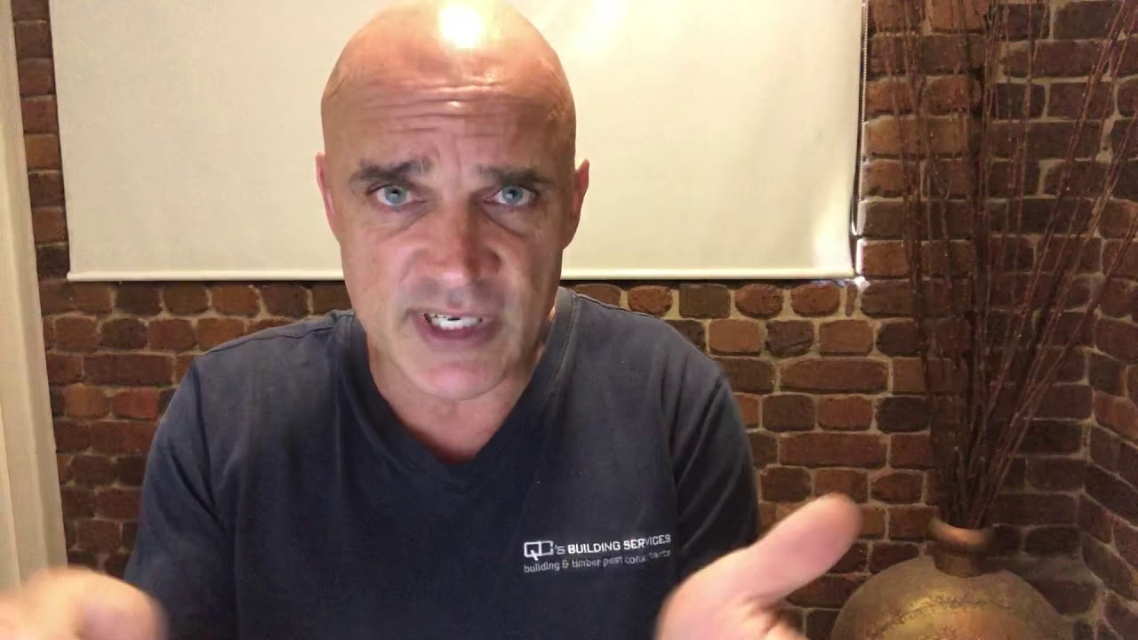 Timber Pest Inspections explained