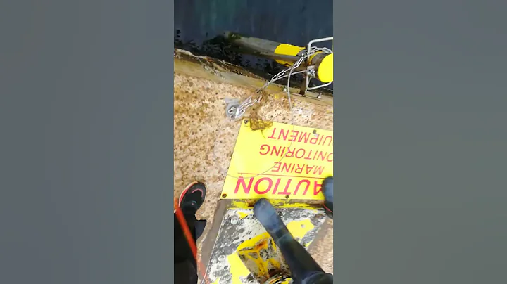 We hooked onto a GIANT conger  eel at the jetty while fishing(bait was whole mackerel)