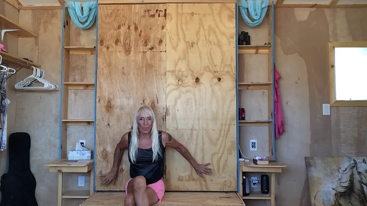 DIY Murphy bed for around $100.00