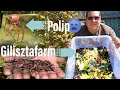 Saját gilisztafarm készités 🐛hogy mindig legyen friss kukac a horgon!