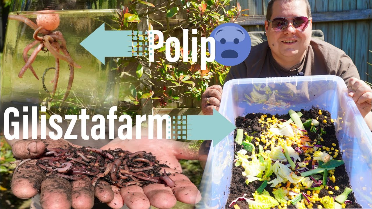 Saját gilisztafarm készités 🐛hogy mindig legyen friss kukac a horgon!