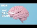 The AMAZING scientific benefits of being bilingual | BBC Ideas - BBC