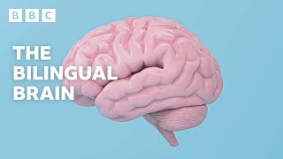 The AMAZING scientific benefits of being bilingual | BBC Ideas - BBC