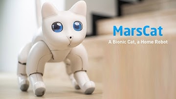 MarsCat by Elephant Robotics : A Bionic Cat, A Home Robot, A Purrfect Bionic Pet Cat for You.