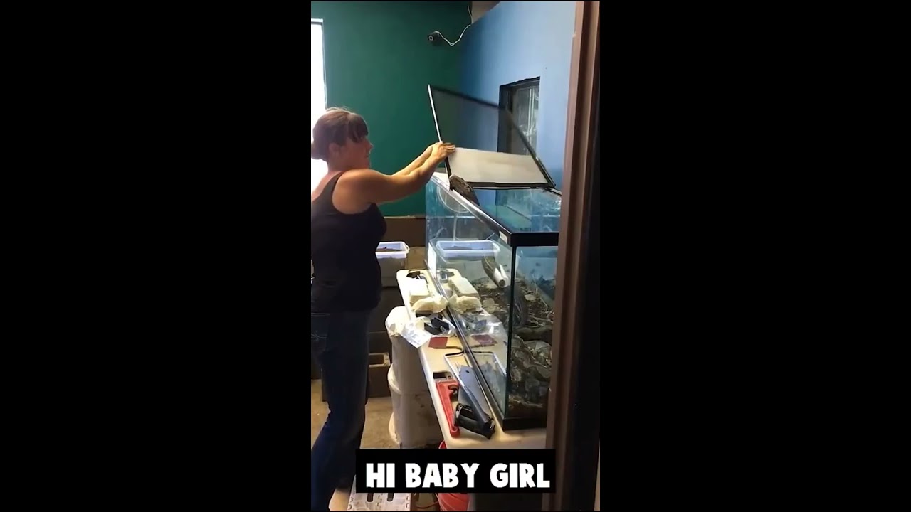What Did She Do Wrong Here Snake Bites Woman And Wraps Her Up 