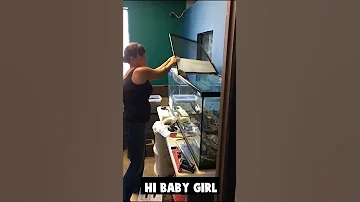 What Did She Do Wrong Here Snake Bites Woman And Wraps Her Up 