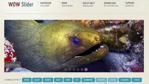 Slideshow Maker Software - Free versions for Windows & Mac!