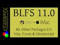 80: Other Packages 1: Vim, Fcron &amp; Ghostcript - BLFS 11.0 on iMac