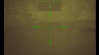 First Thermal Video Test Team Swamp Stomp