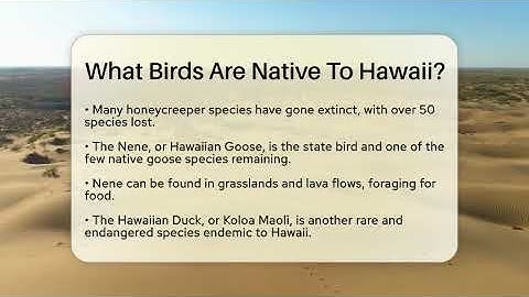 What Birds Are Native To Hawaii? - Ecosystem Essentials