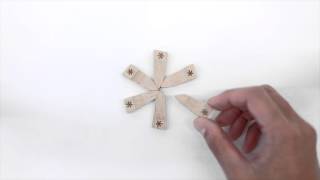 CS-210 アスタリスク箸置き