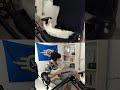 Ataque captado en cámara | #ralphtnt #gatos #ataque