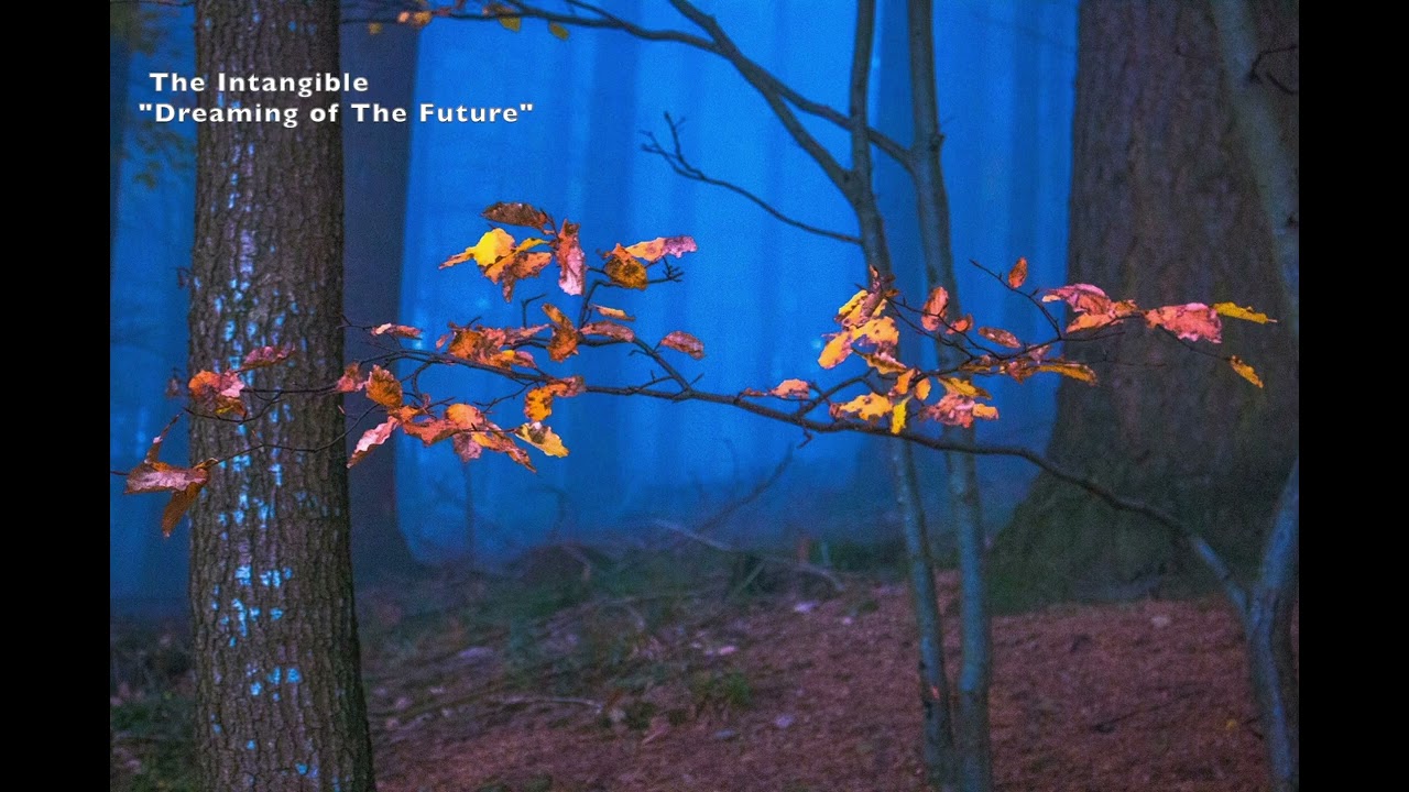 Guarda The Intangible-"Dreaming of The Future" su YouTube