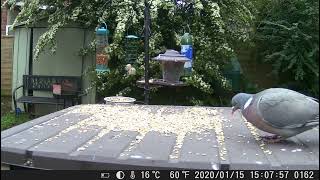 DSCF0162