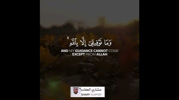 مشاري بن راشد العفاسي سورة هود/لراحة قلبك♥️⛅️/حالات واتساب القران/حالات واتس دينية
