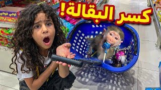 عبسي القرد دخل البقاله وكسرها وطردوهم