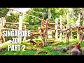 Singapore Zoo Walking Tour (Part 2)