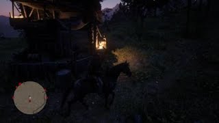 RDR2 Crazy Lost Union Soldier and Ginseng Elixir
