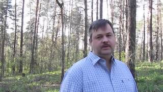 Приглашение на бесплатное обучение специальности Интернет Продюсер Приглашение на бесплатное обучение специальности Интернет Продюсер