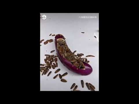 Como esconder o seu dinheiro de sua esposa