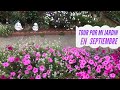 TOUR POR MI JARDÍN EN SEPTIEMBRE