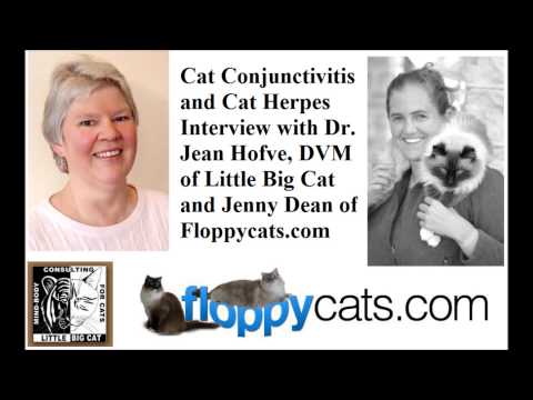 वीडियो: कुत्तों और बिल्लियों में नेत्रश्लेष्मलाशोथ