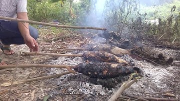 Nướng cá đồng nhậu chơi - câu cá xong nướng tại hồ câu- nhậu luôn