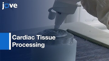 Cardiac Tissue Processing toward ECM Self-assembling Hydrogel | Protocol Preview