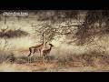 The Samburu Special Five Discover Northern Kenya S Rare Species 