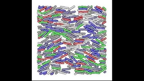 Active nematic--nonpolar