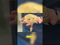 Did you happen to catch last week’s Kinova Reptiles vlog? 🙂🐍🔥