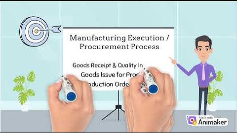 PRG4205 ERP PROGRAMMING Individual Assignment