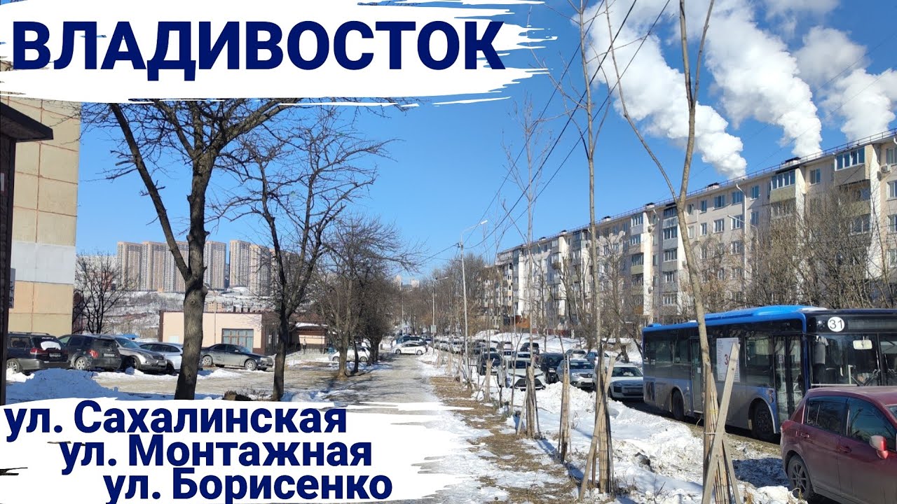 Владивосток январь 2026, от района бухта Тихая до озера с черепахами