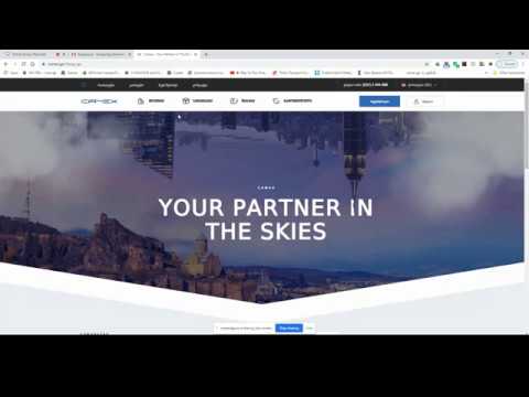 CAMEX -ზე რეგისტრაციის ინსტრუქცია