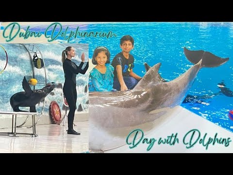 Dolphin Show Dubai UAE FULL VIDEO 2023 | Best of Dubai Dolphin Show | Dubai Dolphinarium