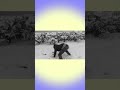 己龍 九尾を歌い暴れながら雪を避ける男 #Shorts