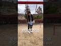 愛想笑いレベル100の旦那と娘w#家族vlog#田舎暮らし#tnbfam