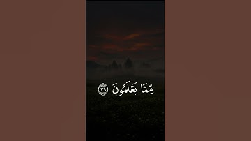 القران الكريم : Quran سورة المعارج محمد اللحيدان 🤍