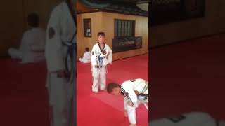 Junior jiujitsu, world Jujitsu Federation, Soke Stefano Mancini