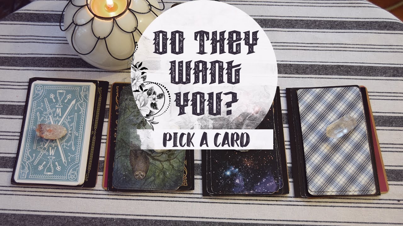 Do They Want You? | PICK A CARD | Timeless Tarot Reading