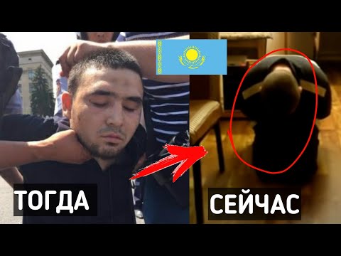 Video: Иттерге Лондон метросундагы поезддерге уруксат барбы?