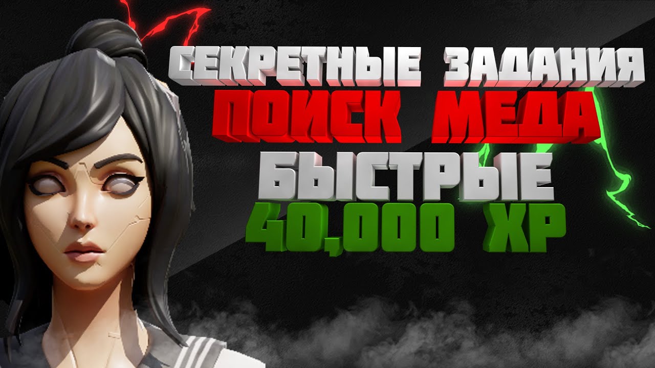 Секретное задание хамстер. Pocket Style секретные задания