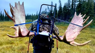 GRAPHIC! 12 Days Moose Hunting in Alaska - 2 Bulls Down