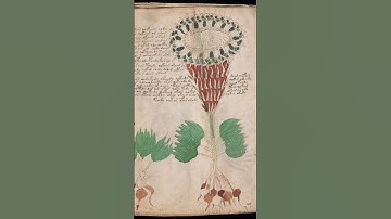 most mysterious language in the world