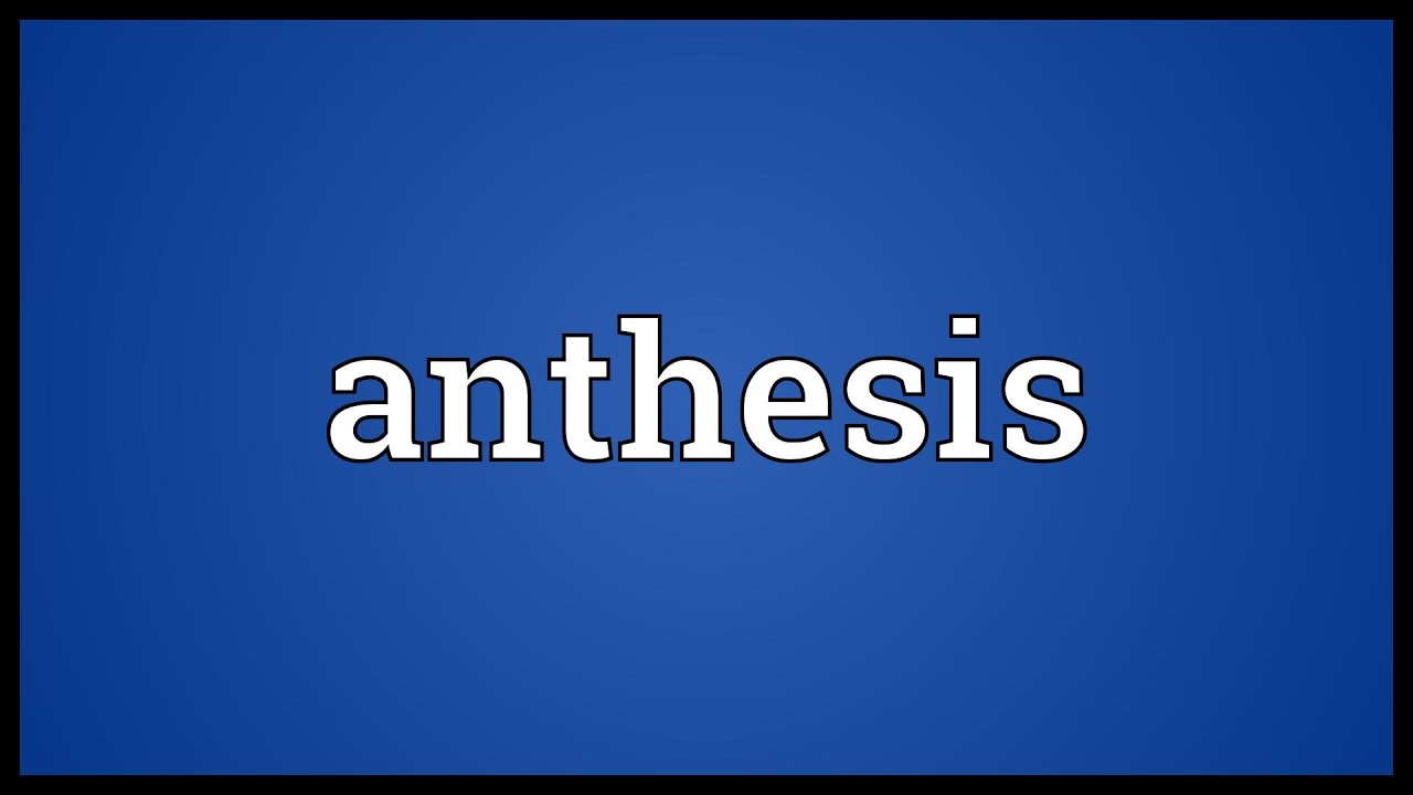 anthesis meaning english