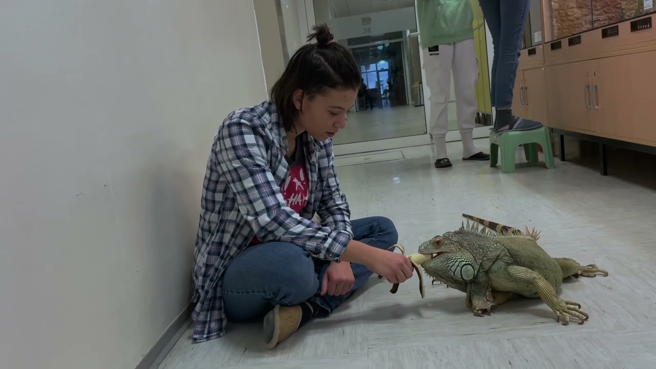 Vivaristični krožek na BIC Ljubljana, Gimnaziji in veterinarski šoli / 2024