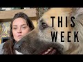 A Realistic Week in My 40s | Furniture Shopping, Cooking &amp; Fave Products