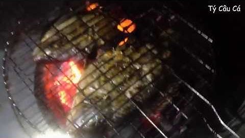 Cá Rô Nướng Muối Ớt - Tý Câu Cá