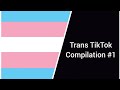 Trans Tik toks #1