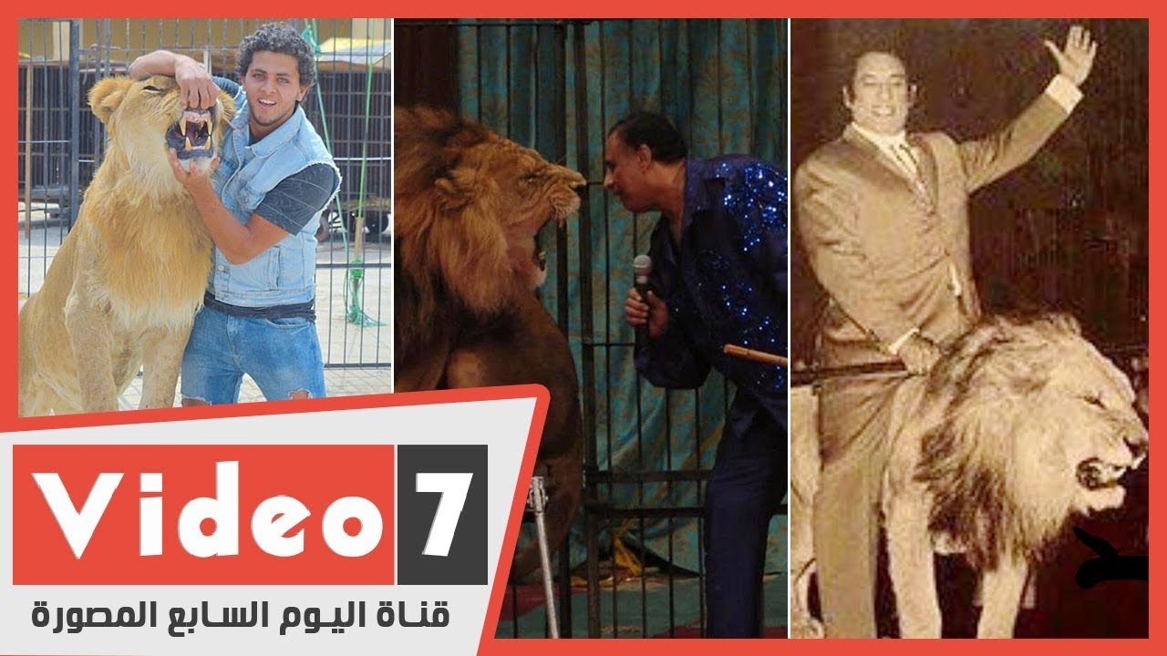 بعد رحيل الجد والأب.. أشرف الحلو يستكمل مغامرة تدريب الأسود